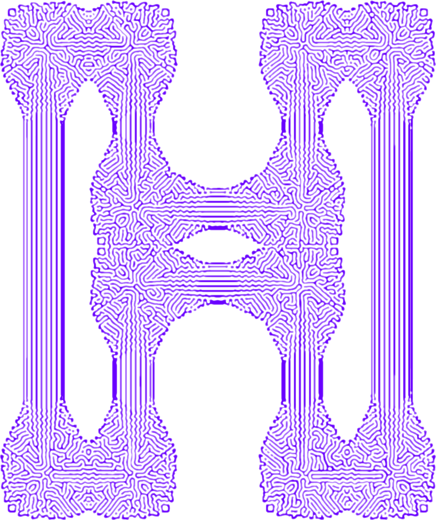 Portfolio Image 5